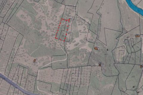 Helårsgrund i Montevago, Agrigento, Montevago - € 5.000 | Ref: Land Caliato - foto 2